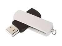 Twister 4 USB FlashDrive Zwart