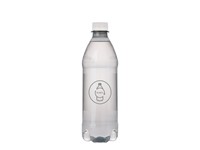 Bronwater 500 ml met draaidop